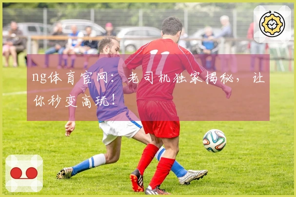 ng体育官网：老司机独家揭秘，让你秒变高玩！