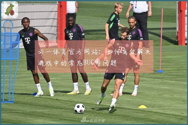必一体育官方网站：如何高效解决游戏中的常见BUG与问题